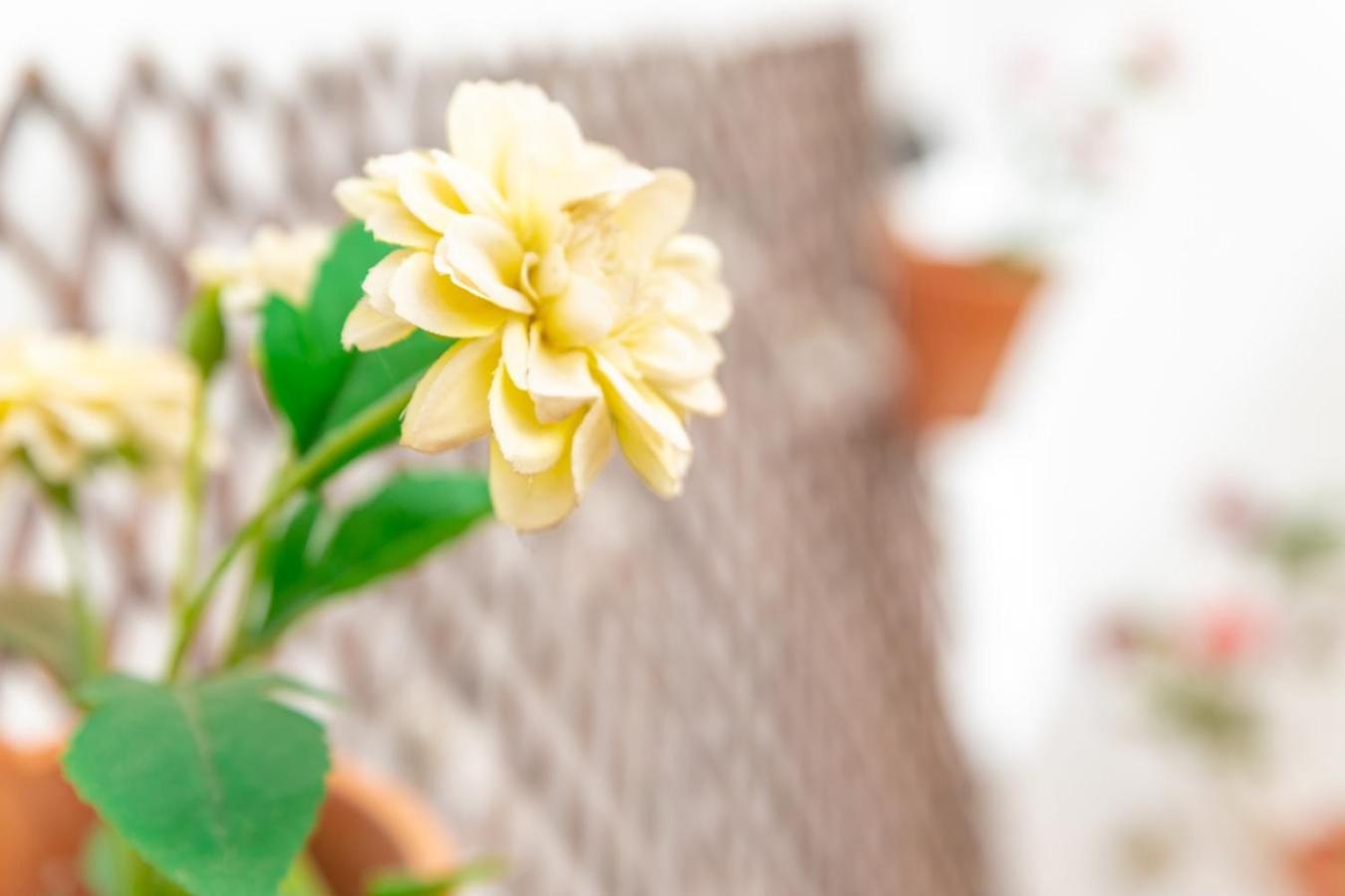 Casa Siroco | +Patio Apartment Barbate Ngoại thất bức ảnh