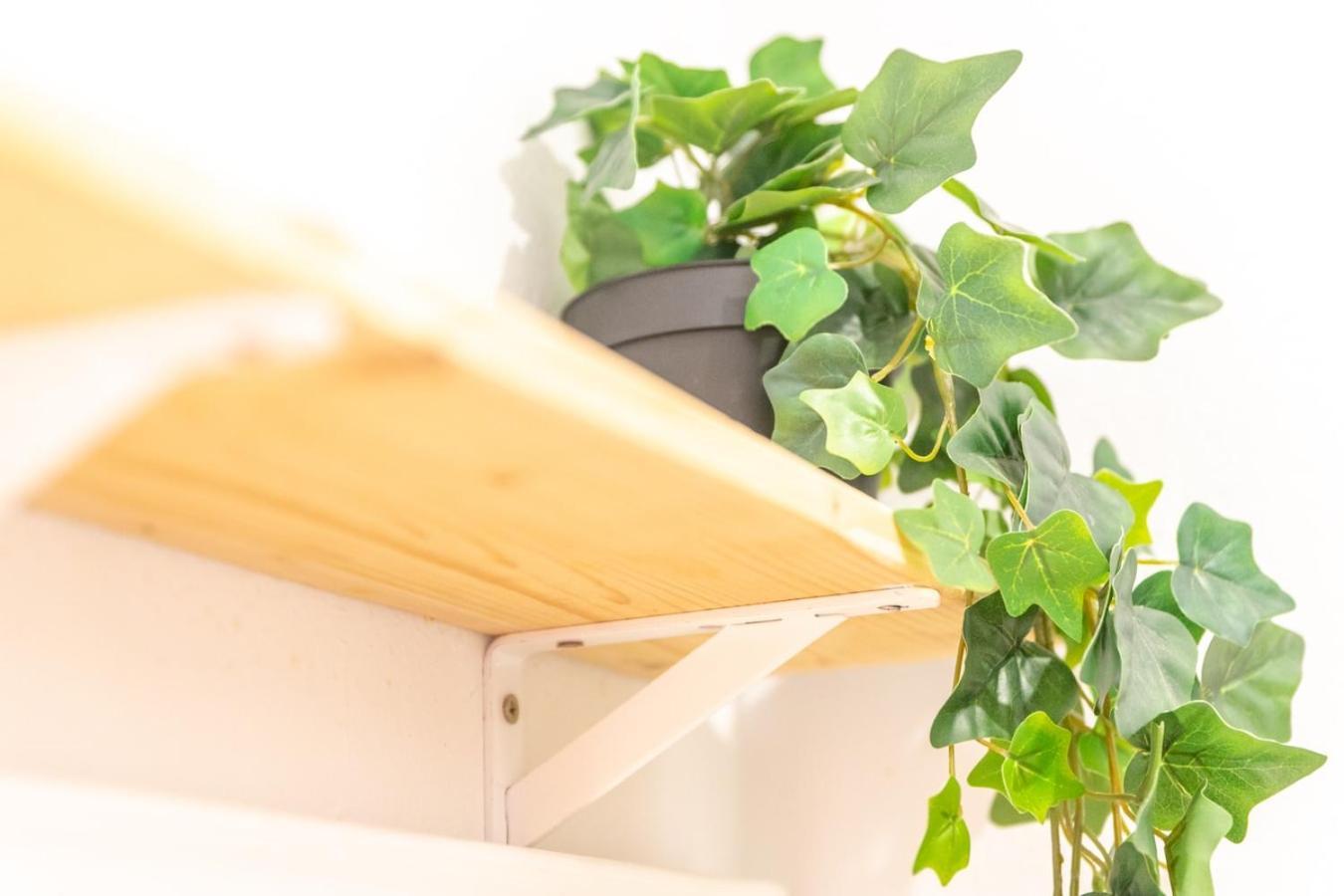 Casa Siroco | +Patio Apartment Barbate Ngoại thất bức ảnh